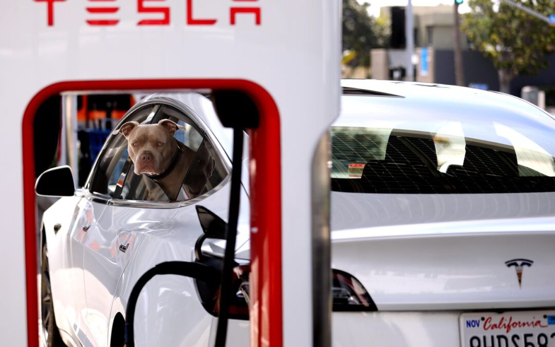 Tesla layoffs hit Supercharger team just as it’s poised to take over EV charging