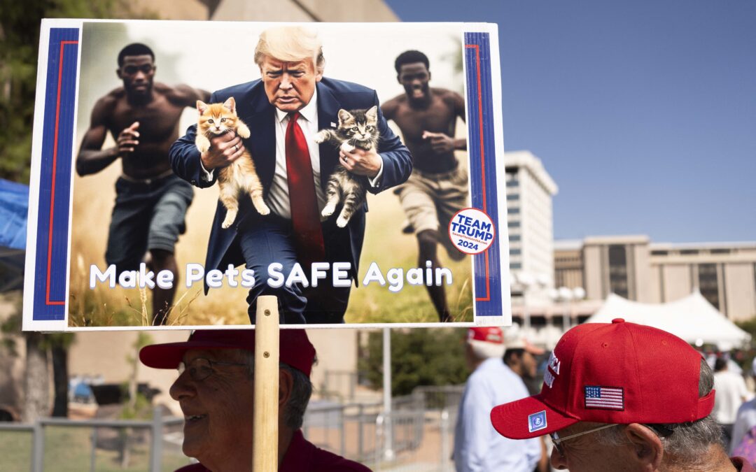 Haitians in America worry they’re Trump’s next target