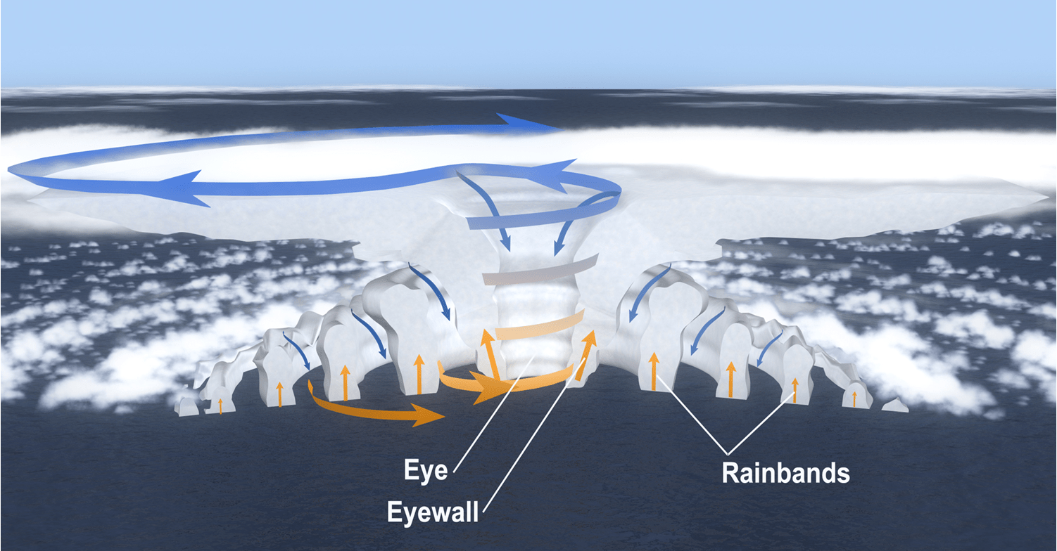 Cross section of a hurricane