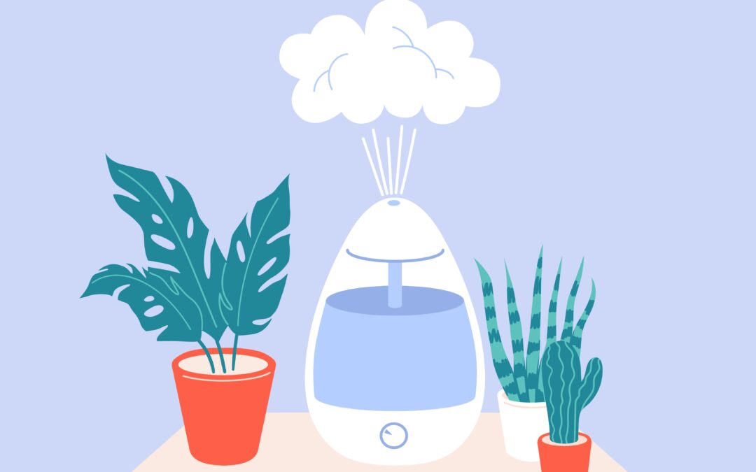 The perfect humidifier doesn’t exist