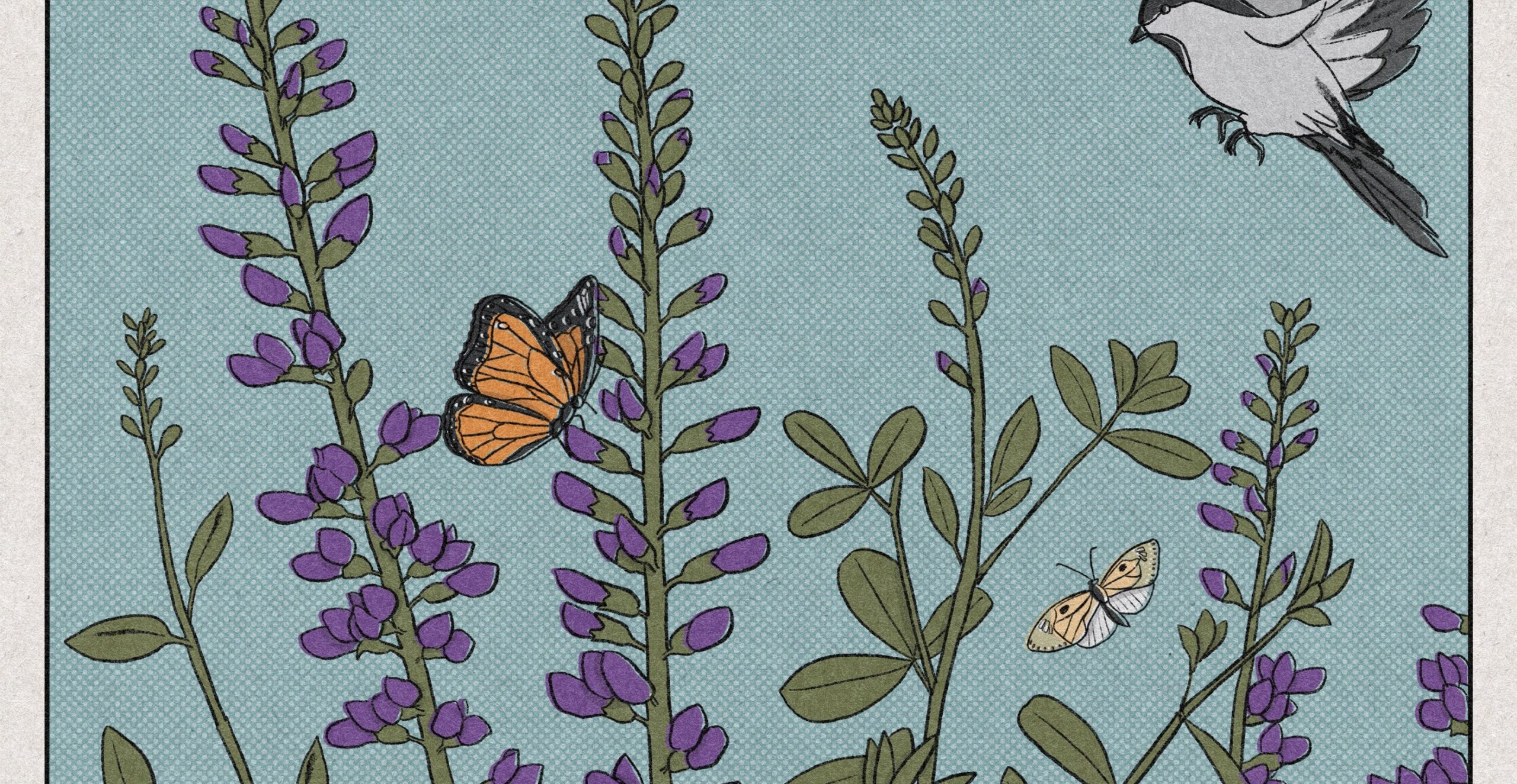 Image: A butterfly, moth, and bird fly around plants. Text: A rewilding effort like planting native flora can do so many great things. It can preserve biodiversity and help bring balance to local ecosystems because those plants help attract butterflies, birds, and pollinators like bees, moths, and bats.