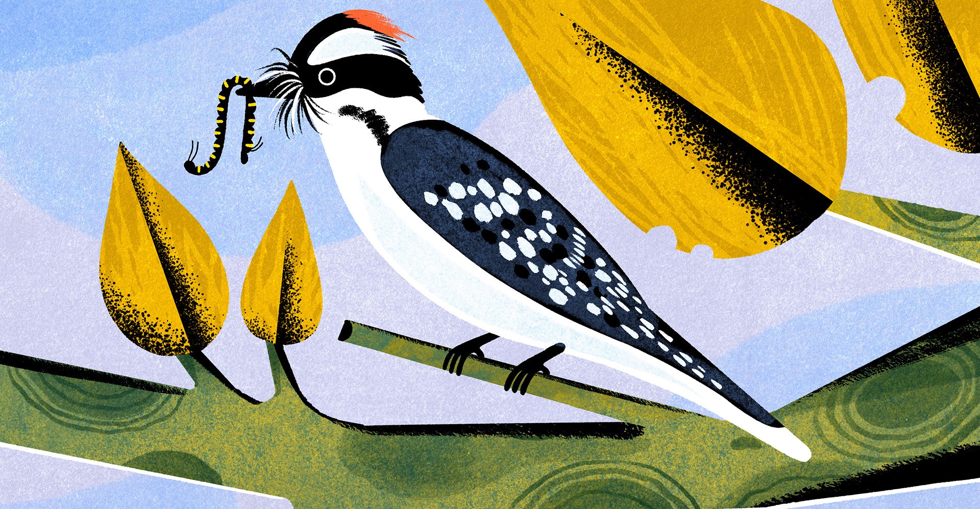 Illustration of a bird on a branch eating a worm.