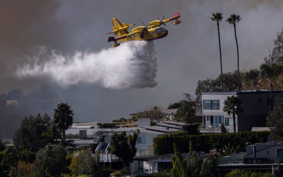 The drone pilot who took out an LA firefighting plane pleads guilty to escape jail