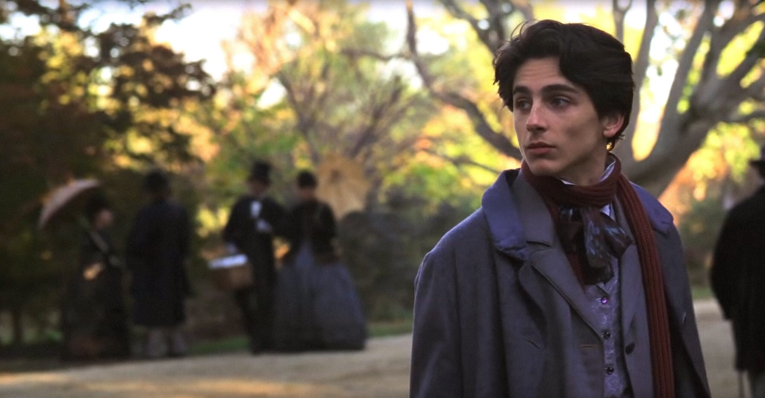 Chalamet as Laurie in Little Women.