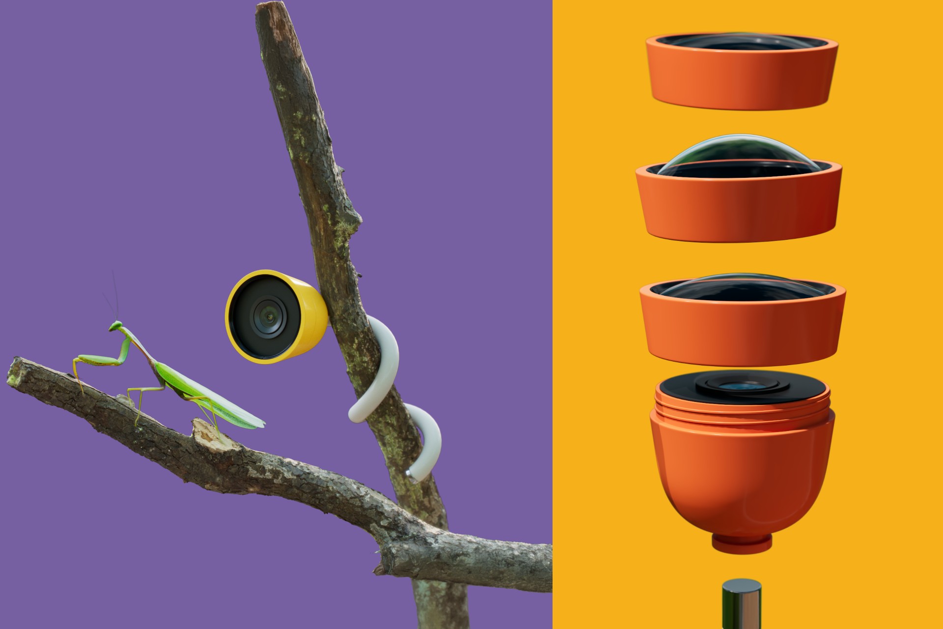 (Left) a yellow petal camera is mounted on a thin branch with its flexible arm and pointed at a large green Praying mantis. (Right) an orange petal camera is pictured with three changeable lenses stacked above it, showing that they screw on