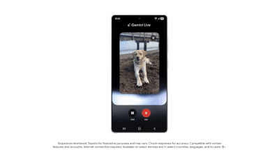 An animation showing someone asking Gemini Live for feedback on the composition of a photograph of a dog