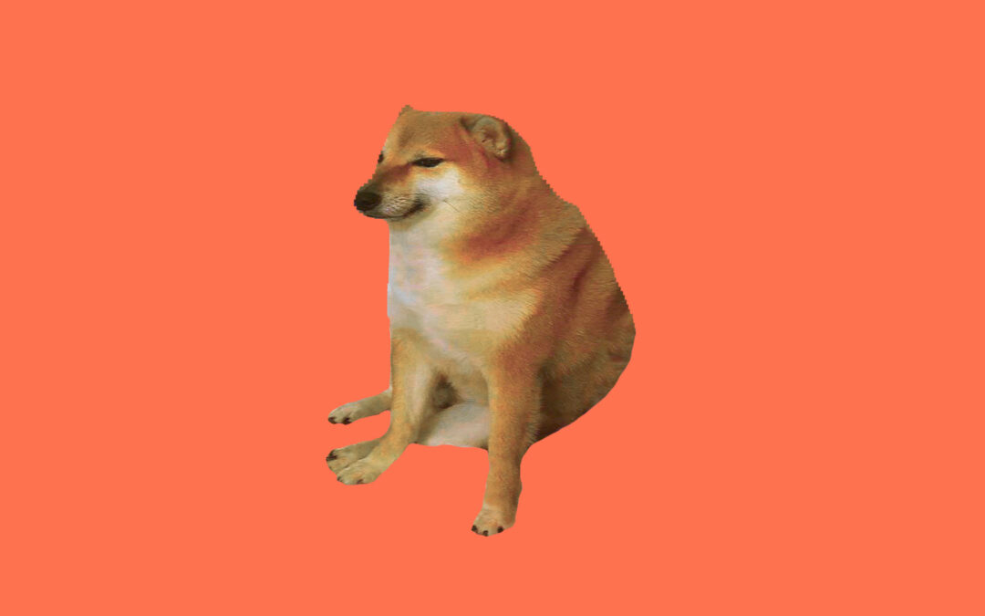 Federal workers launch a new site to share inside information about DOGE