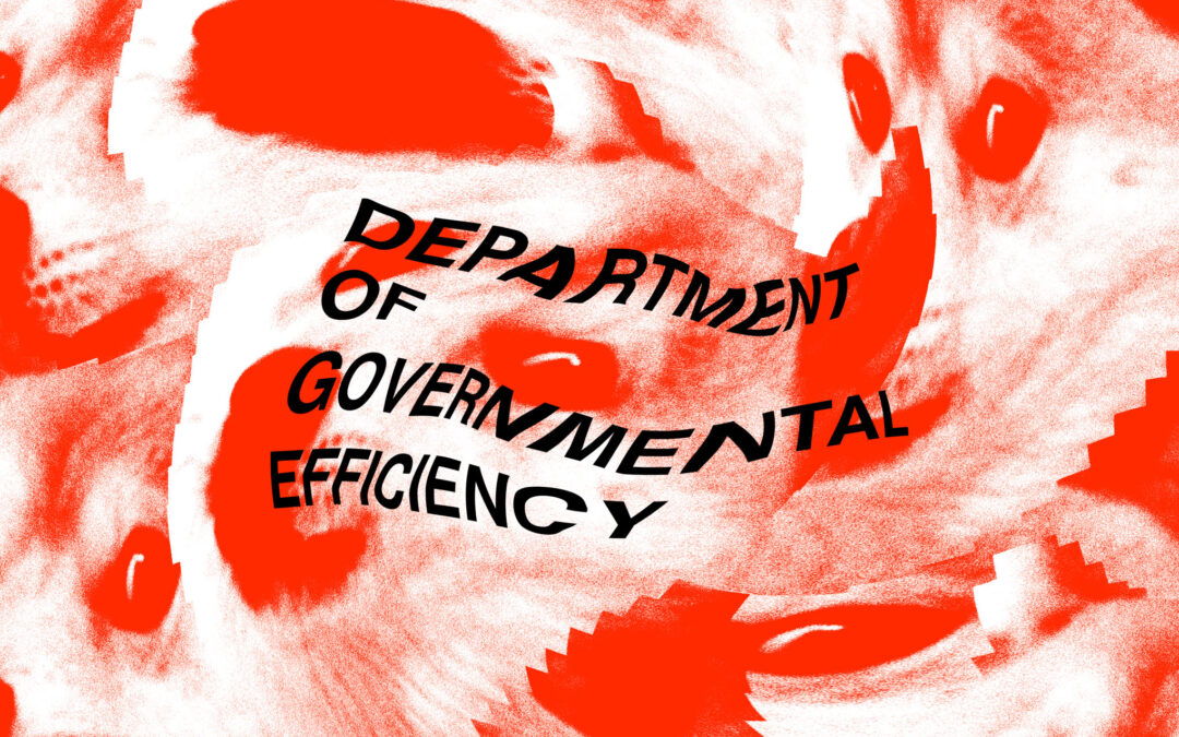 What 1,000 pages of documents tell us about DOGE