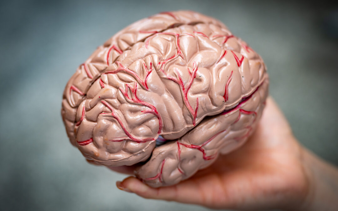 Are we getting stupider?