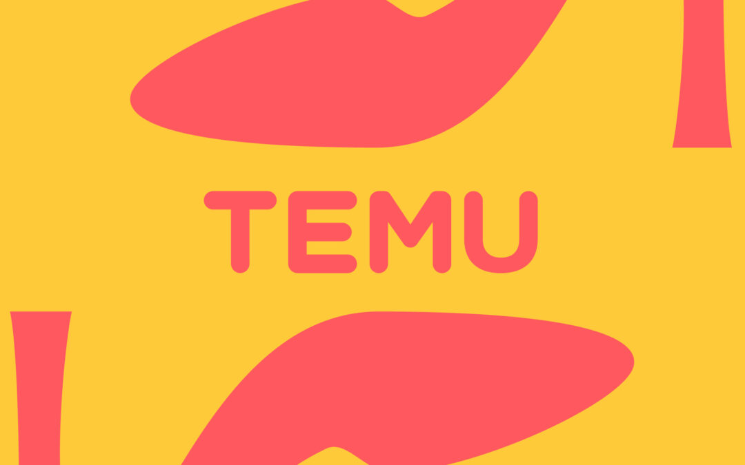 Temu fined more than $230 million by EU over illegal product sales
