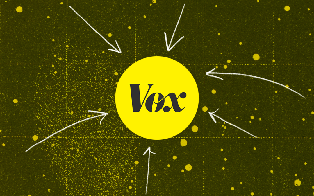 10 of the best Vox stories of 2025
