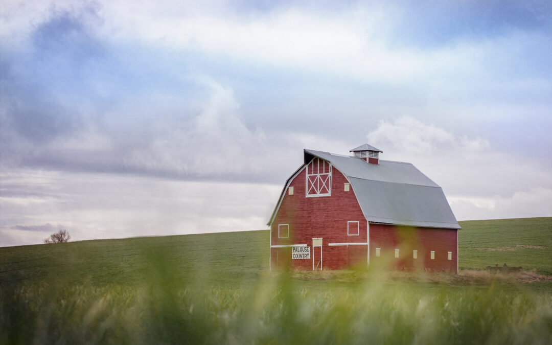 A quarter of America’s “farms” aren’t really farms