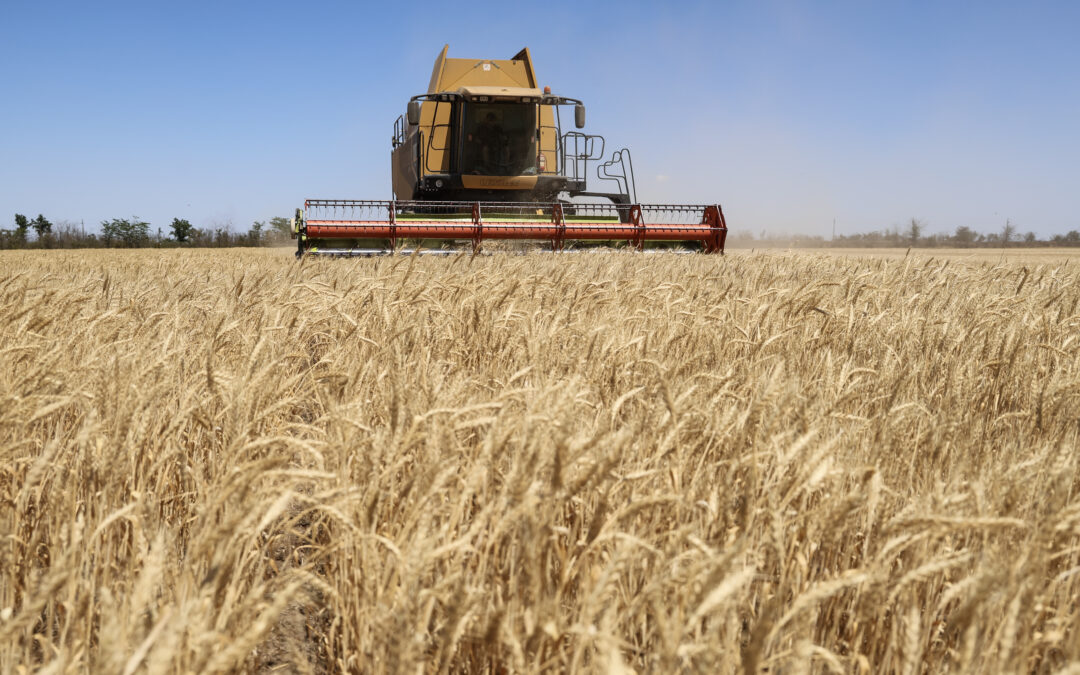 The world is producing more food crops than ever before