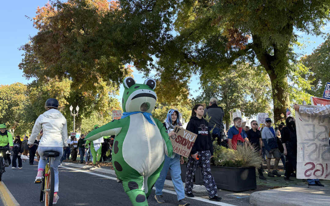 March of the frogs