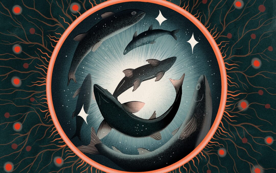 The surprisingly profound debate over whether fish feel pain