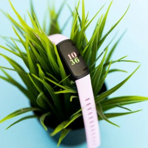 The Fitbit Inspire 3 on top of a plant.