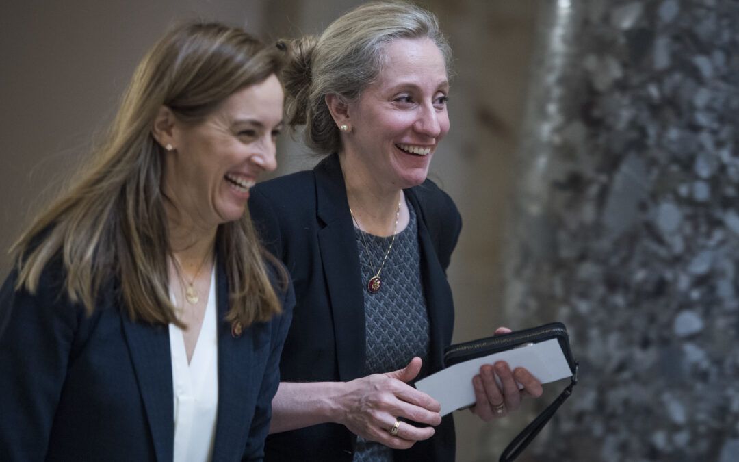 Why Democrats won the 2025 elections