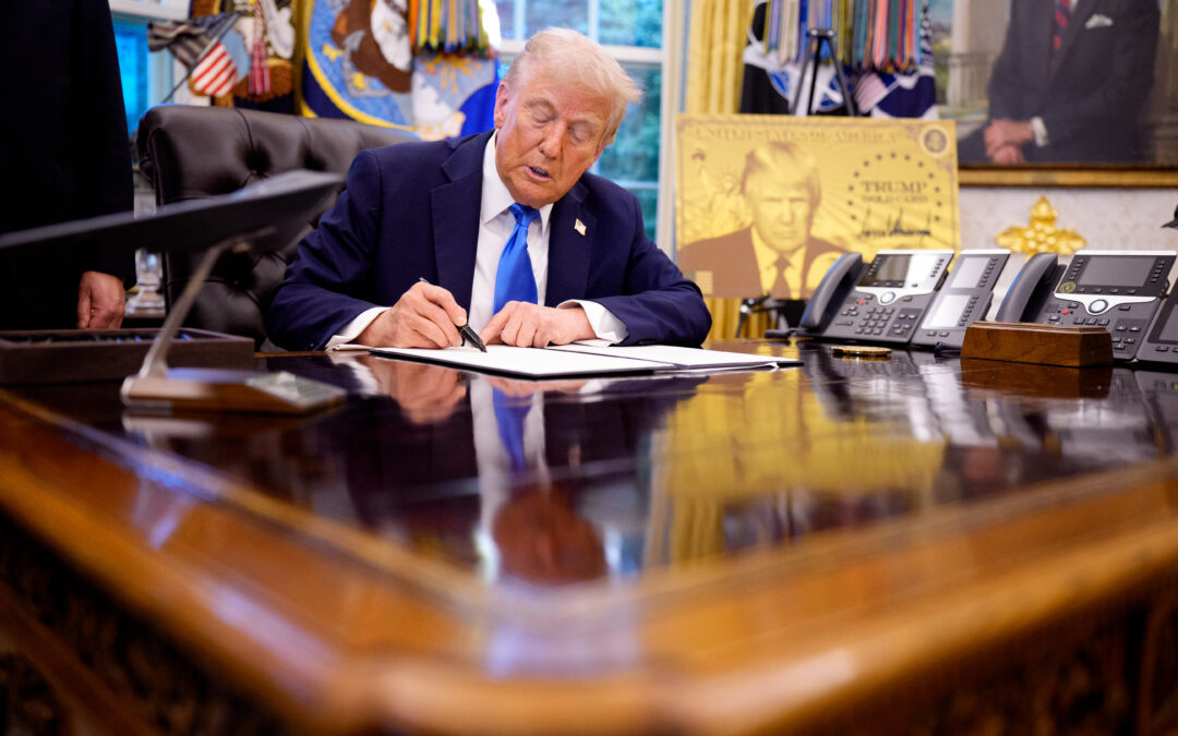 How to fix the broken visa system for high-skill workers