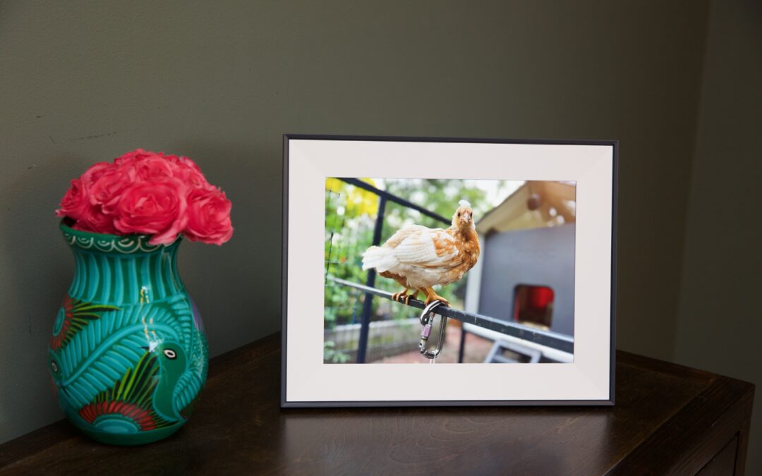 These Verge-approved gifts are still available for up to 60 percent off for Cyber Monday