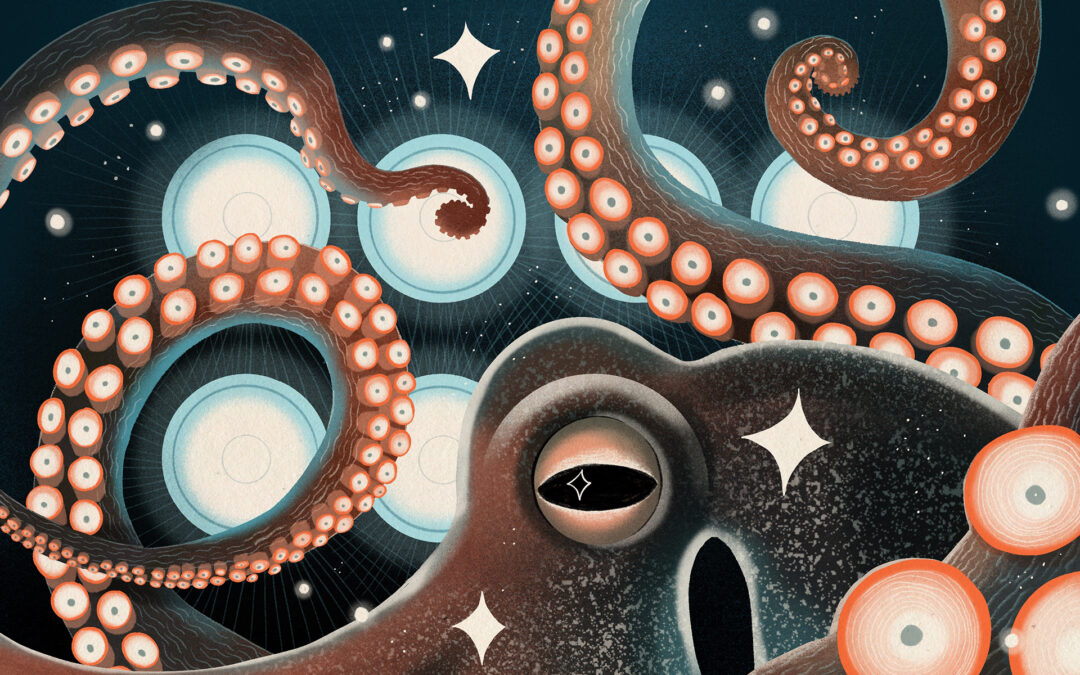 The race to stop octopus farming before it starts