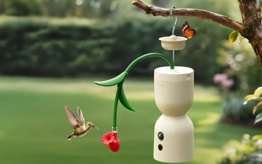 Birdfy’s Hum Bloom captures 120fps slow motion footage of hummingbirds