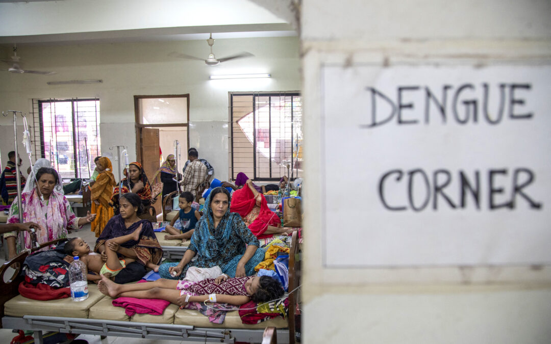 The biggest mosquito-borne disease in the world has a cure. There’s just one problem