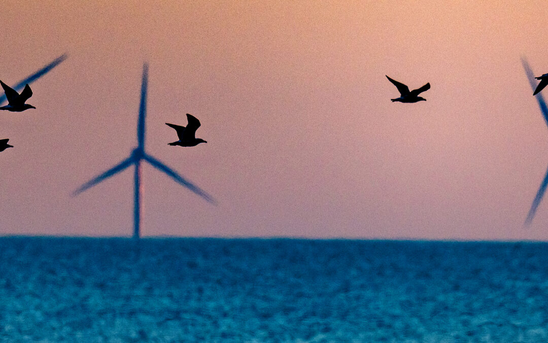 Trump’s war on windmills, briefly explained