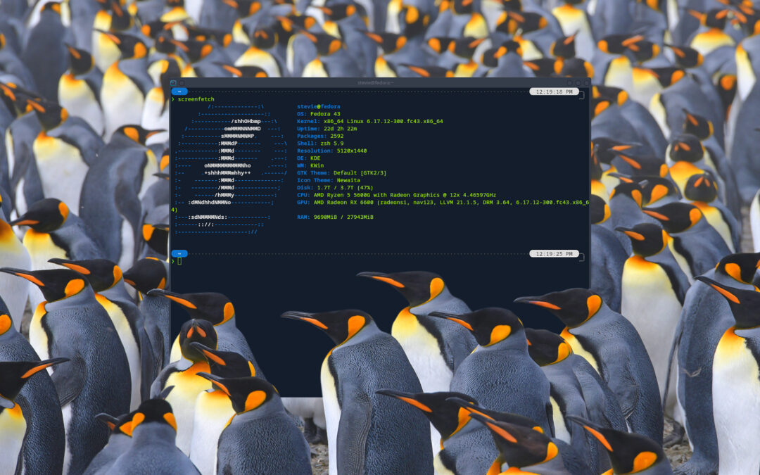 I spent a year on Linux and forgot to miss Windows