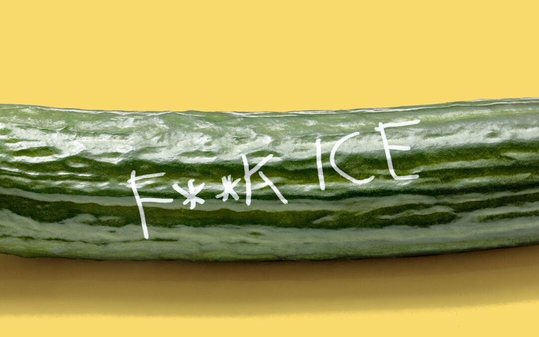 Even the big dick subreddit is mad about ICE