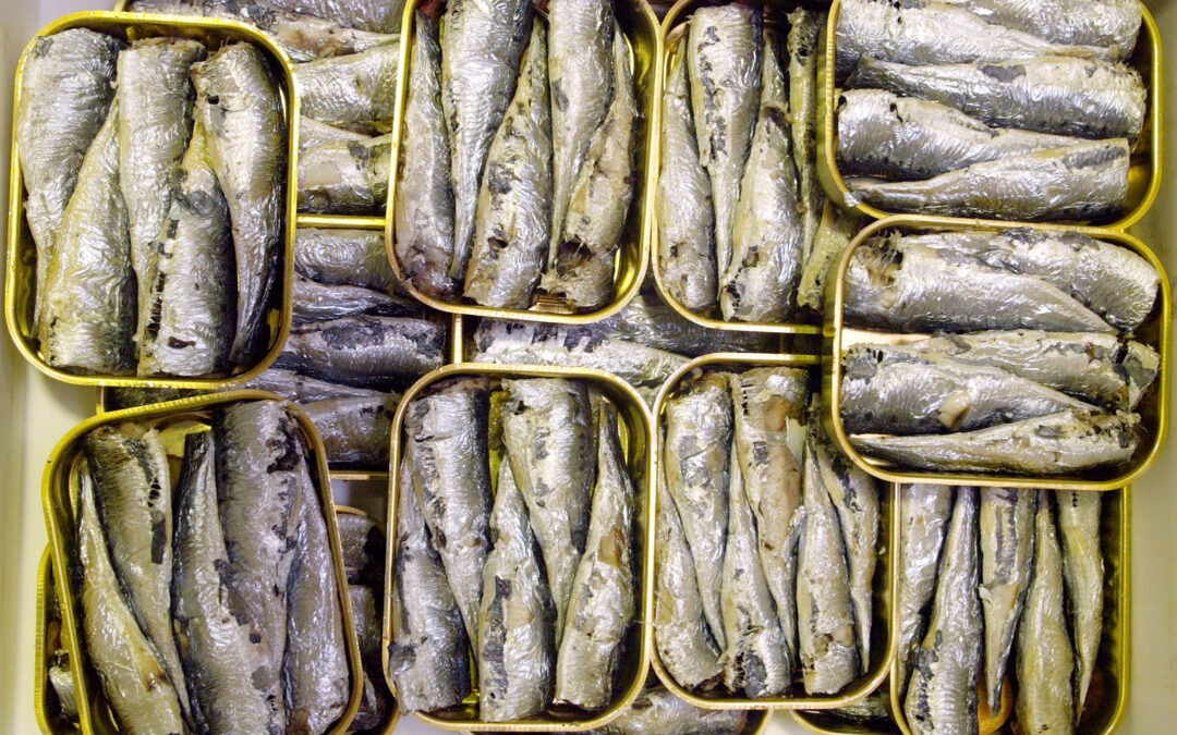 How the supermarket’s cheapest fish became Gen Z’s latest obsession