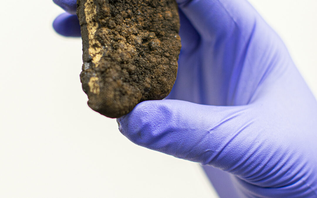 Trump is steamrolling global calls for a moratorium on deep-sea mining