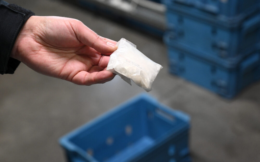 The return of cocaine