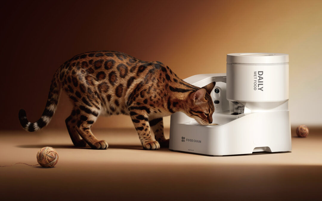 Petkit’s first automatic wet food feeder keeps track of how much your pet eats