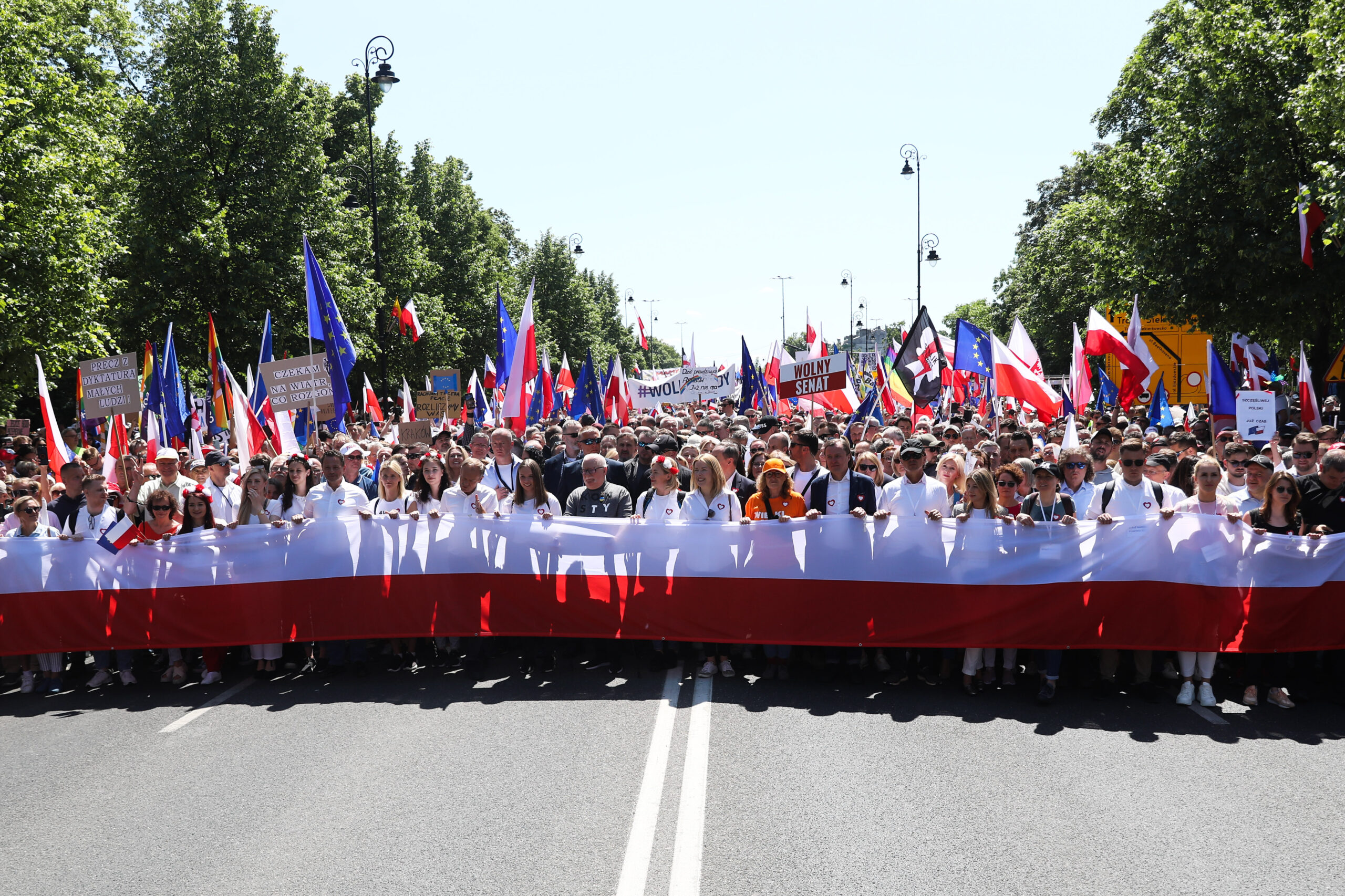 A crowd of people march holding flags