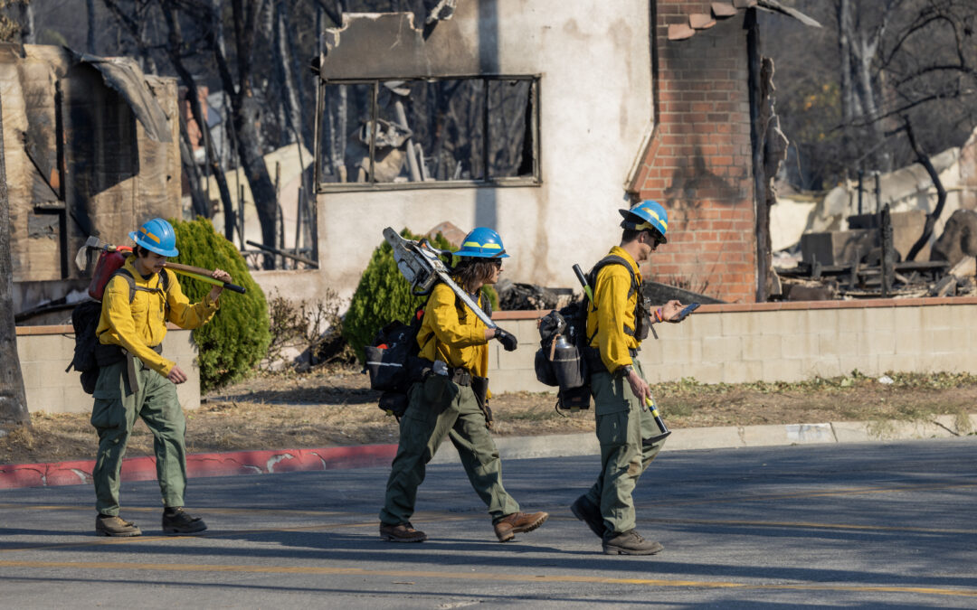 Trump’s new Wildland Fire Service is failing to ignite