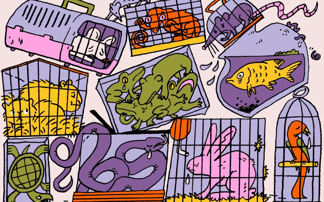 The case against owning small pets