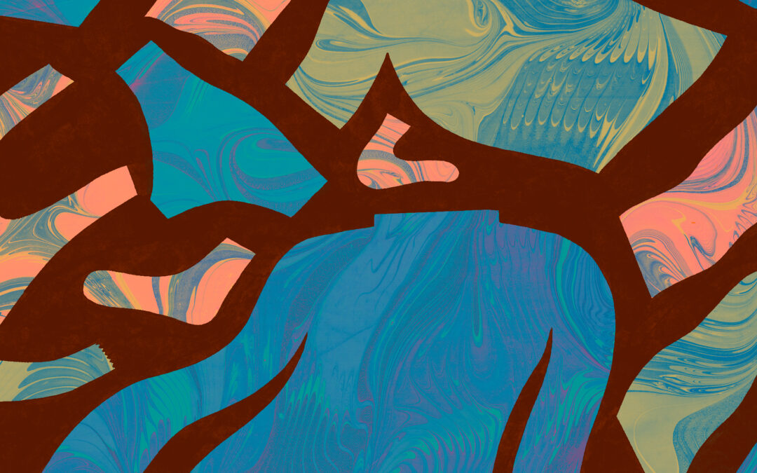 The mysterious Redditor who’s changing the way we do laundry