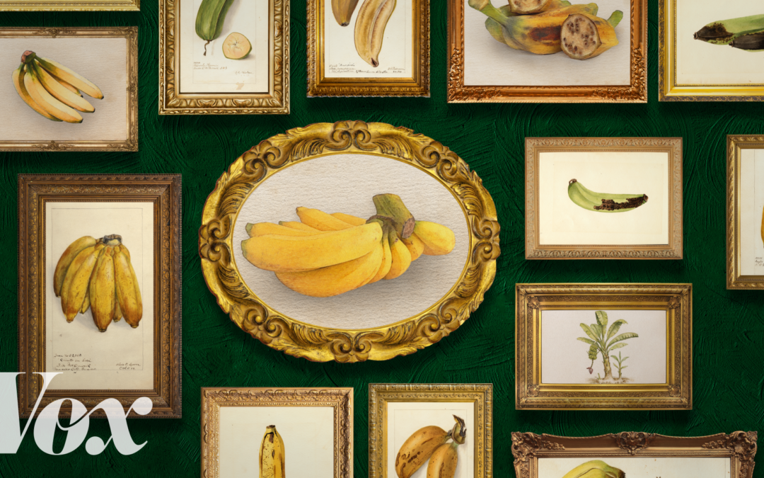 The most interesting fruit in the world could go extinct