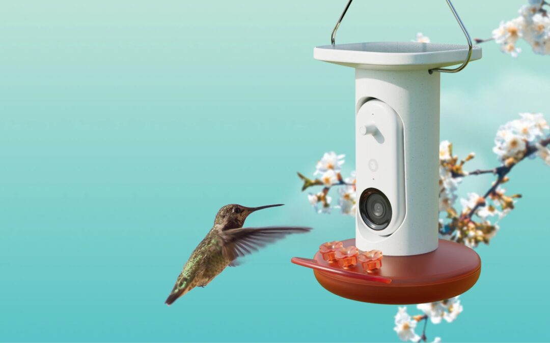 Birdbuddy’s AI-powered hummingbird feeder is matching its best price to date