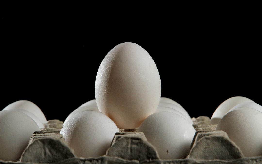 The real reason all of your eggs still aren’t cage-free