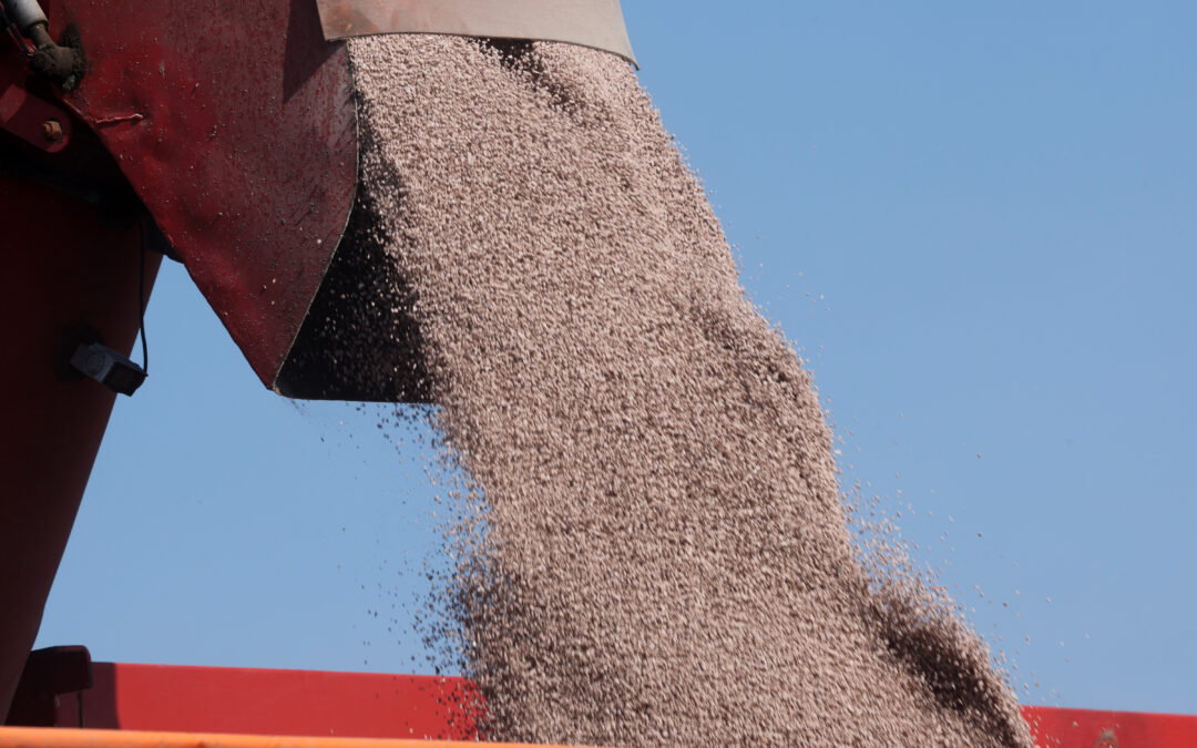 The pain from the Strait of Hormuz crisis will be felt far beyond the pump