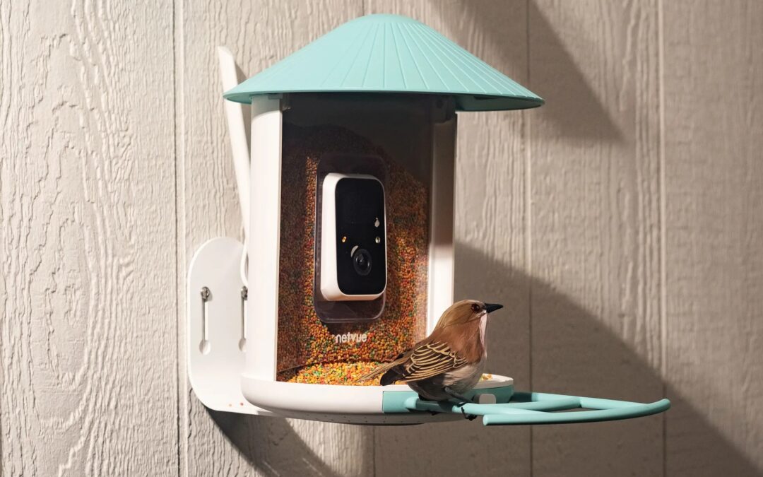 Amazon’s Big Spring Sale is a great time to get a fancy, AI-powered bird feeder