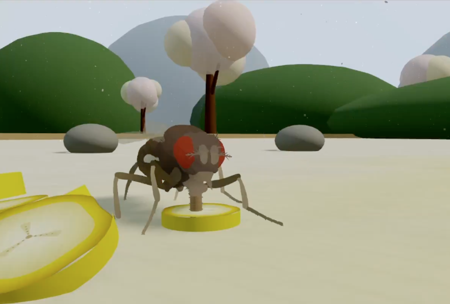 This is not a fly uploaded to a computer