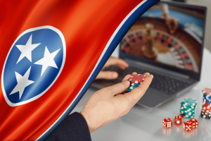 Tennessee House panel advances bill targeting sweepstakes-style online casinos