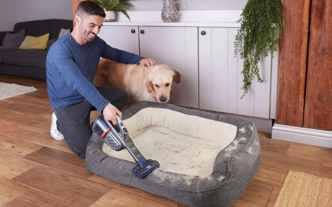 Here are our favorite spring cleaning deals from Amazon’s Big Spring Sale