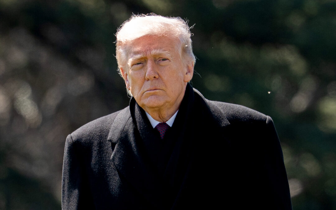 Trump’s new coin, briefly explained