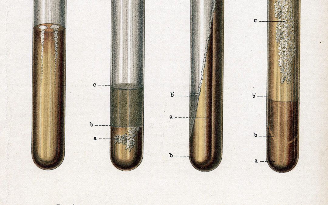 The world’s deadliest infectious disease is on the rise in the US