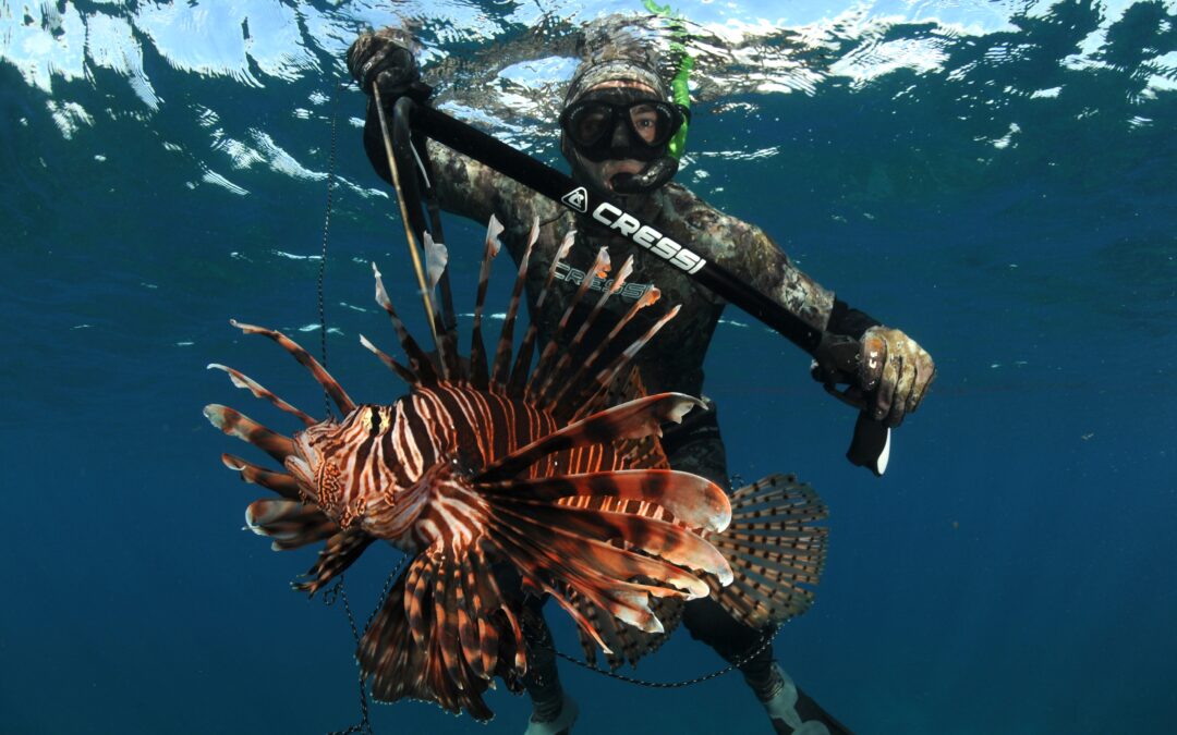 Can you profit off nature without destroying it? These venture capitalists are betting on it.