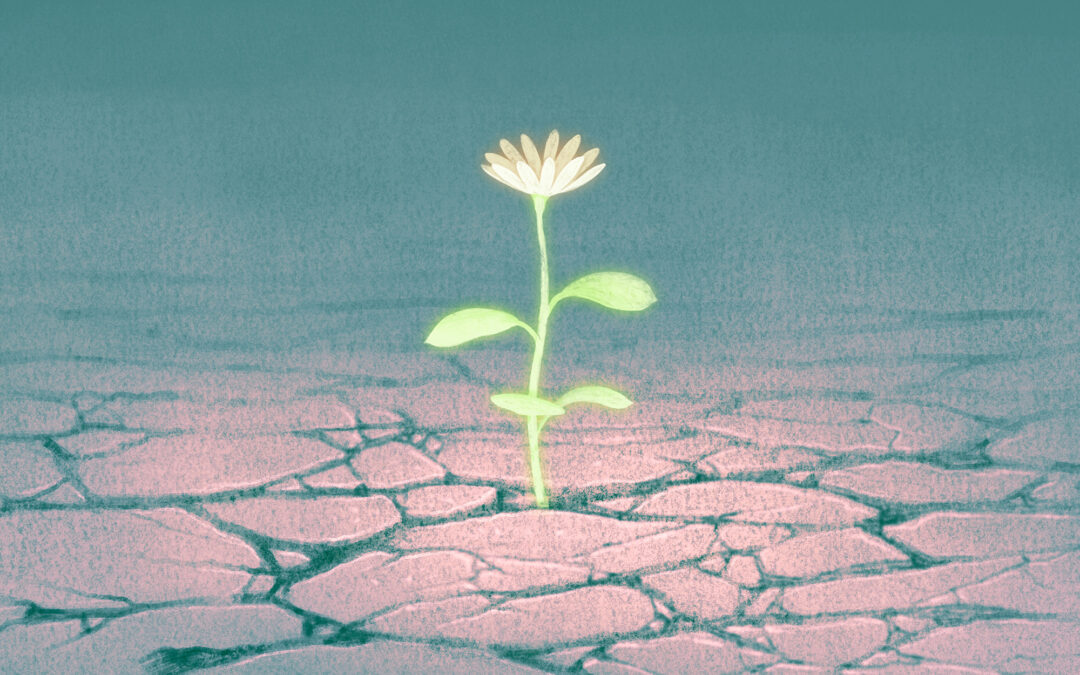 Hope vs. optimism, explained