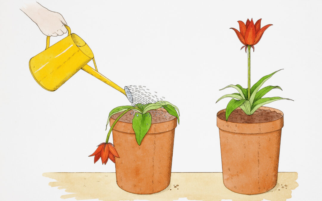 How to get over your fear of being a burden and actually ask for help